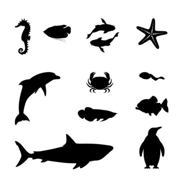 The Best Sea Animals Silhouette Illustration Vector
