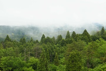Naklejka premium 雨の日の奈良県の山添村の風景