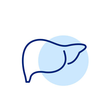 recommend clip art: Human liver. Gastrointestinal tract organ. Anatomy and healthcare. Pixel perfect, editable stroke line art icon