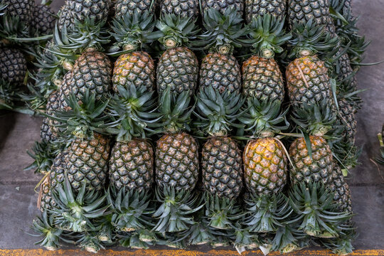 Large fruit market,Pineapple  tropical fruit in the market.