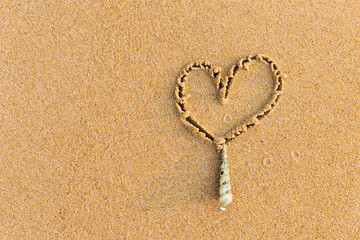 Heart and seashell on fine sandy beach background, love summer on the beach, tropical nature