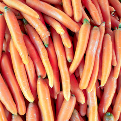 Organic fresh carrots top view closeup, natural orange colored background