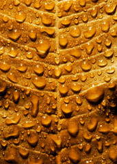 Autumnal leaf with raindrop.