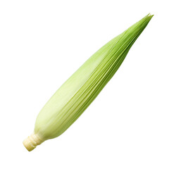 Undressed single corn isolated on white background.