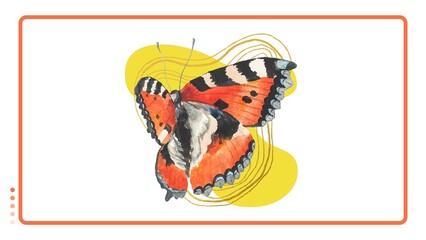 Desktop Wallpaper 00001