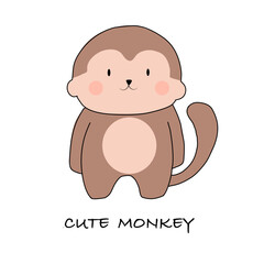 Cute monkey