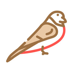 bullfinch bird color icon vector. bullfinch bird sign. isolated symbol illustration