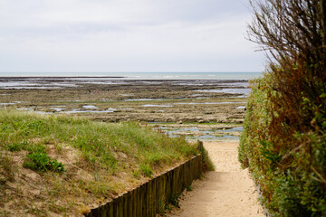 Fototapeta na wymiar Wooden pathway access to beach sea in oleron island coast Atlantic in france