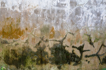 Concrete wall with mold grunge texture