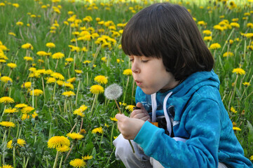 cute seriously boy in a blue hoodie and gray jeans is sitting in a field of yellow dandelions