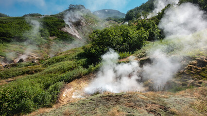 Thick steam billows over the geyser cauldron. Sulphurous deposits are visible on the soil. Green vegetation around. Mountains against the blue sky. Kamchatka. Valley of Geysers