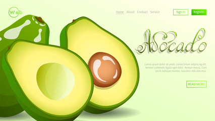 Avocado. Whole avocado and avocado in cut. Fruits, healthy eating, dieting concept. Vector illustration for flyer, banner, website development.