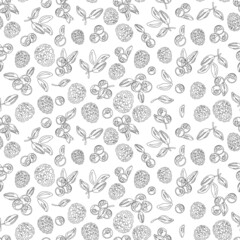 Berry mix on white background. Lines. Seamless pattern.
