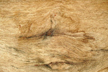 background pattern on wooden floor.