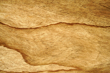 background pattern on wooden floor.