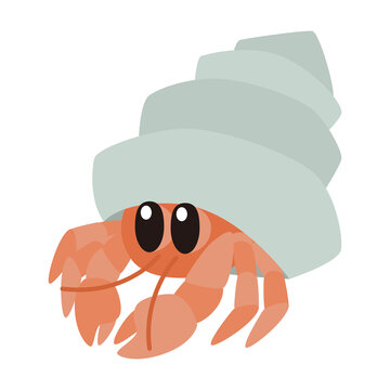 ヤドカリ Images Browse 857 Stock Photos Vectors And Video Adobe Stock