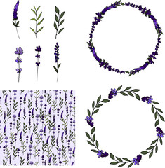 Botanical hand drawn lavender flower vector set