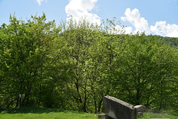 Landscape of Georgia