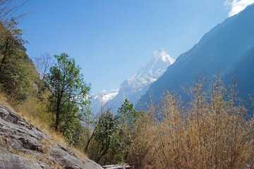 Fototapeta na wymiar Natural landscape of Snowcapped mountain view with clear blue sky- Annapurna Himalayan range, Nepal