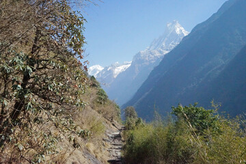 Rocky trail steps with natural landscape of green mountain view- Annapurna Himalayan range, Nepal