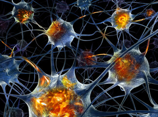 Neurons - 3d illustration.