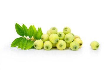 Fresh common myrtle fruits ( Myrtus communis ) on isolated white background