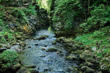 Little creek flowing through the canyon