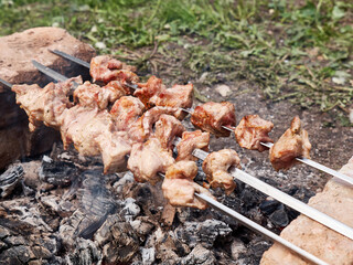 Cooking meat skewers on an open fire. Summer vacation outside the city.