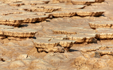 Salt Mushrooms around the Dallol Volcano in the Danakil Desert, Afar Region, Ethiopia