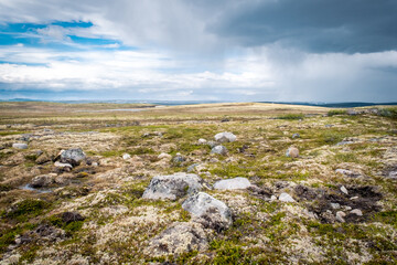 Fototapeta na wymiar Summer landscape of the green polar tundra with boulders in the foreground and lake on the horizon. Northern nature in the vicinity Teriberka (Kola Peninsula, Russia)