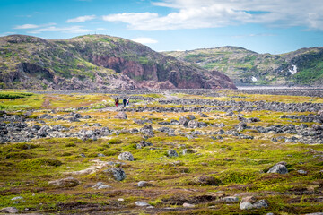 Summer landscape of the green polar tundra with boulders in the foreground and lake on the horizon....