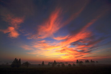 Obraz premium 朝日に染まるオレンジ色の雲