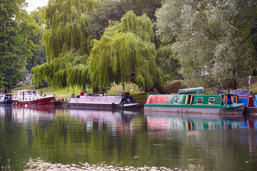 Fototapeta na wymiar A narrowboats on the river Cam. Cambridge. Cambridgeshire. United Kingdom
