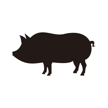 Pig icon vector illustration sign