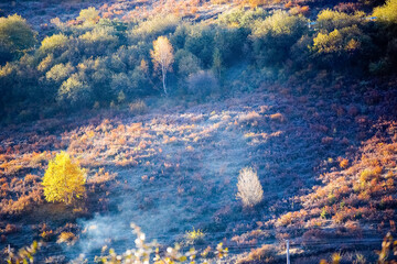 Grassland, pasture and natural beauty in the Tibetan Plateau and mountainous areas of China