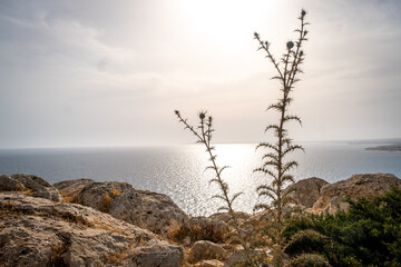 Fototapeta na wymiar Summer landscape in Cyprus. View from the top of Cape Greco.