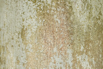 background pattern on wooden floor.