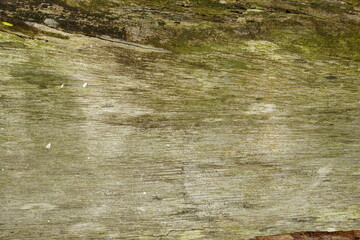 background pattern on wooden floor.