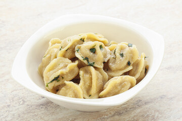 Russian boiled dumplings with meat