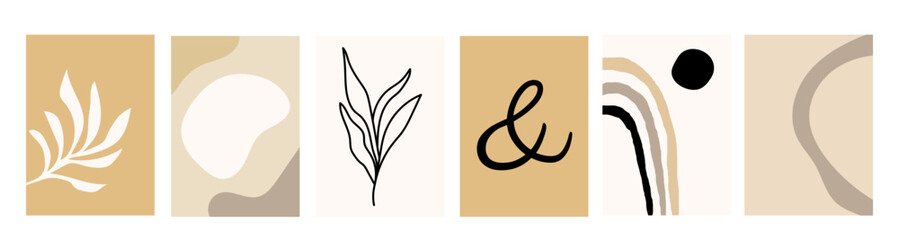 Collection of modern simple abstractions: sketch of plant leaves, geometric shapes and circles and sign and on a colored background