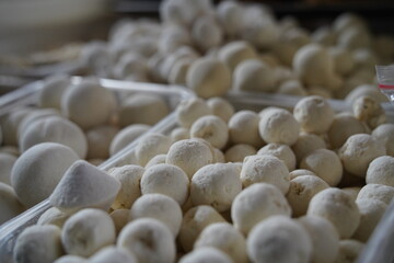 Almaty, Kazakhstan - 03.25.2022 : The fermented milk product is kurt, laid out in containers for sale on the market.