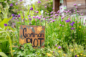 Common plot garden sign in overgrown flower field with wood structure. Urban community garden background. Selective focus on handmade sign with defocused foliage, pink and yellow flowers.
