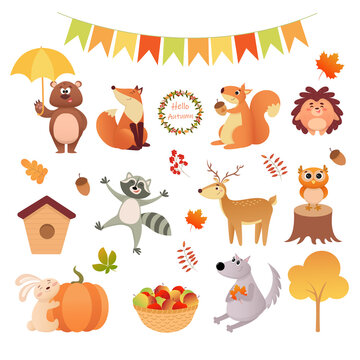 Forest animals. Autumn collection.