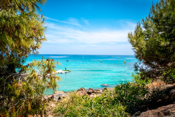 Summer landscape on Konnos beach in Cyprus. View of the turquoise sea through the branches of trees
