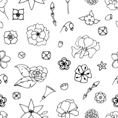 Seamless flower background, painted flowers
