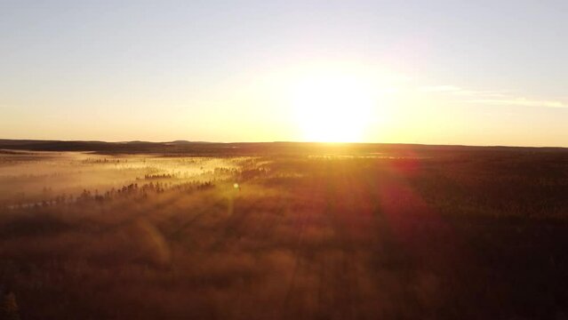 Sun-rays in morning fog and pinetree Eeyou Istchee Baie-James Quebec Canada