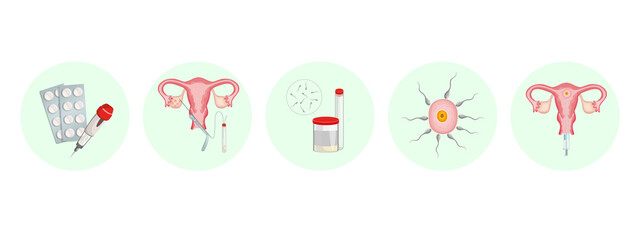The procedure of artificial insemination of the egg. Fertilization sequence. Conception in vitro. In vitro fertilization
