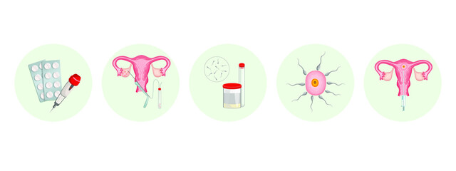 The procedure of artificial insemination of the egg. Fertilization sequence. Conception in vitro. In vitro fertilization