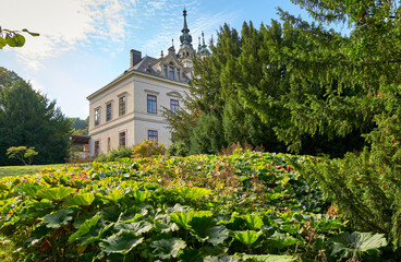 Park view on Velke Brezno castle, Czech Republic