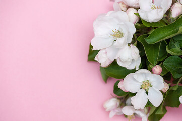 Fototapeta na wymiar White flowers on a pink background, copy space